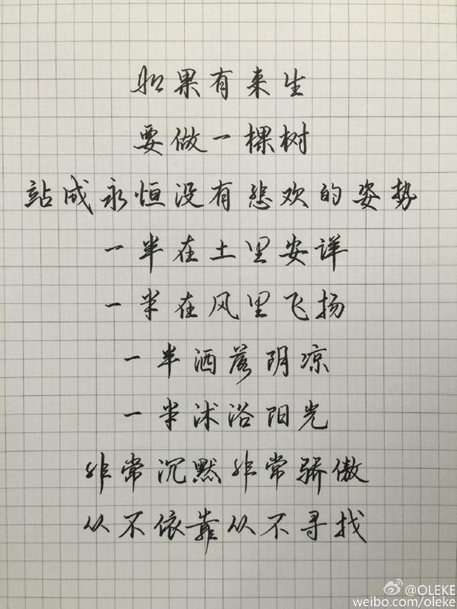 20张漂亮手写字体,闲来无事练练字,明理,静心,抒怀,你