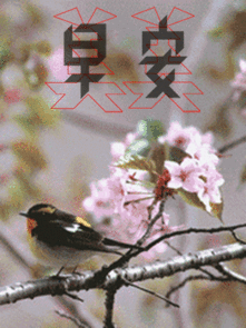 簲ףͼ,ϢͼƬ