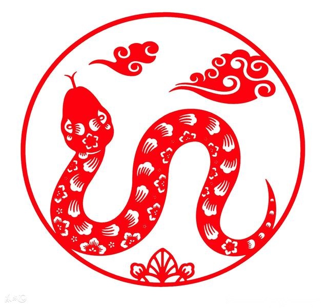 属蛇人:1977年出生的一生宿命,算命先生说的真准!
