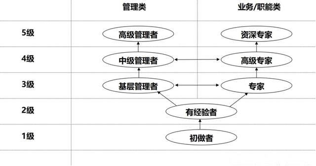 第一个人才培养的实质是什么? 第二个企业人才培养的核心工作是什么?