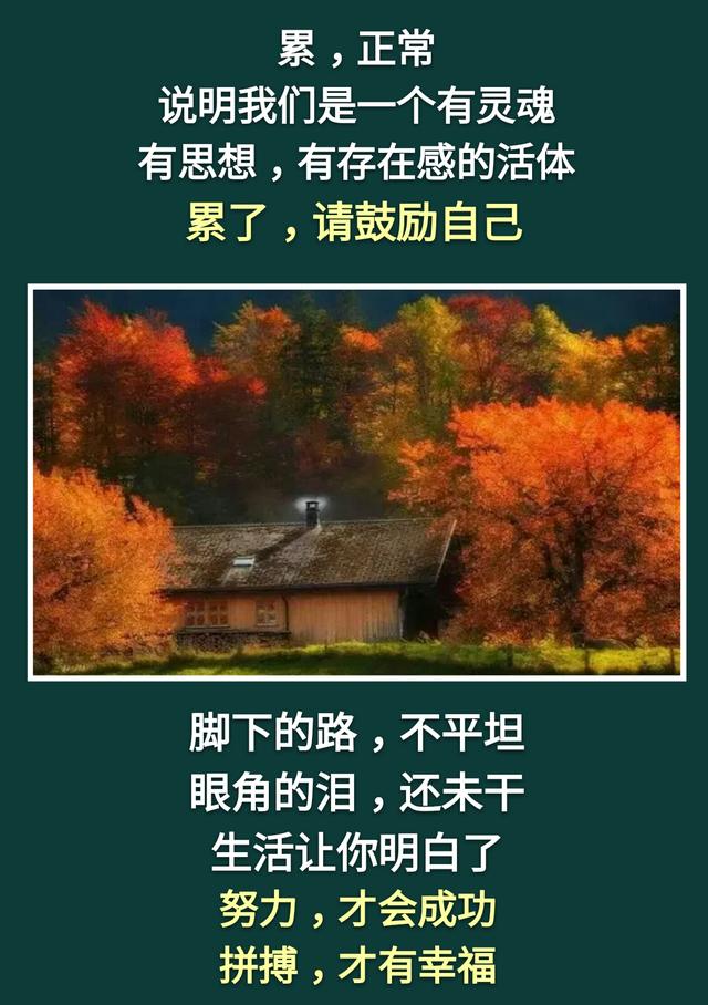 人活着:不累,是木头;不痛,是砖头;不苦,是石头「句句入心」