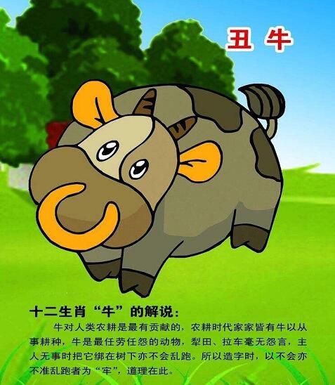 十二生肖2018年运程,快来看看你的生肖!