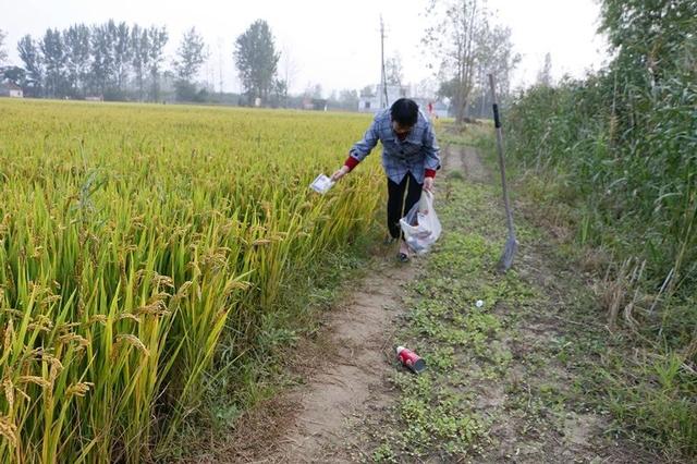 农家女种田35年,决不让这些东西在自家地里