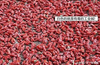 枸杞子的作用与功效有哪些?晚上睡前吃五粒枸