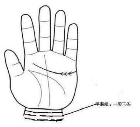 手腕线是完整的三条,整齐并无残缺断裂,是十分好的手相,不只身材健康