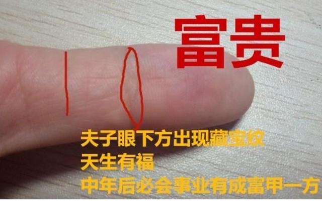 夫子眼下方出现了一条横着的藏宝纹,那更是十足的好命人,不管做什么