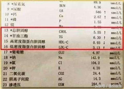 体检报告解读:血脂检查