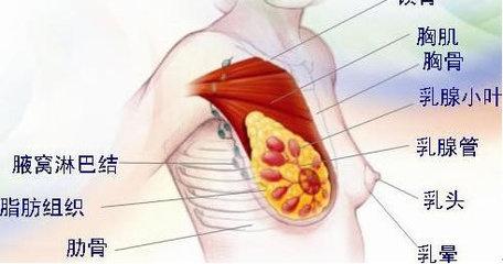 关于乳腺癌并发症,这些你必须要知道