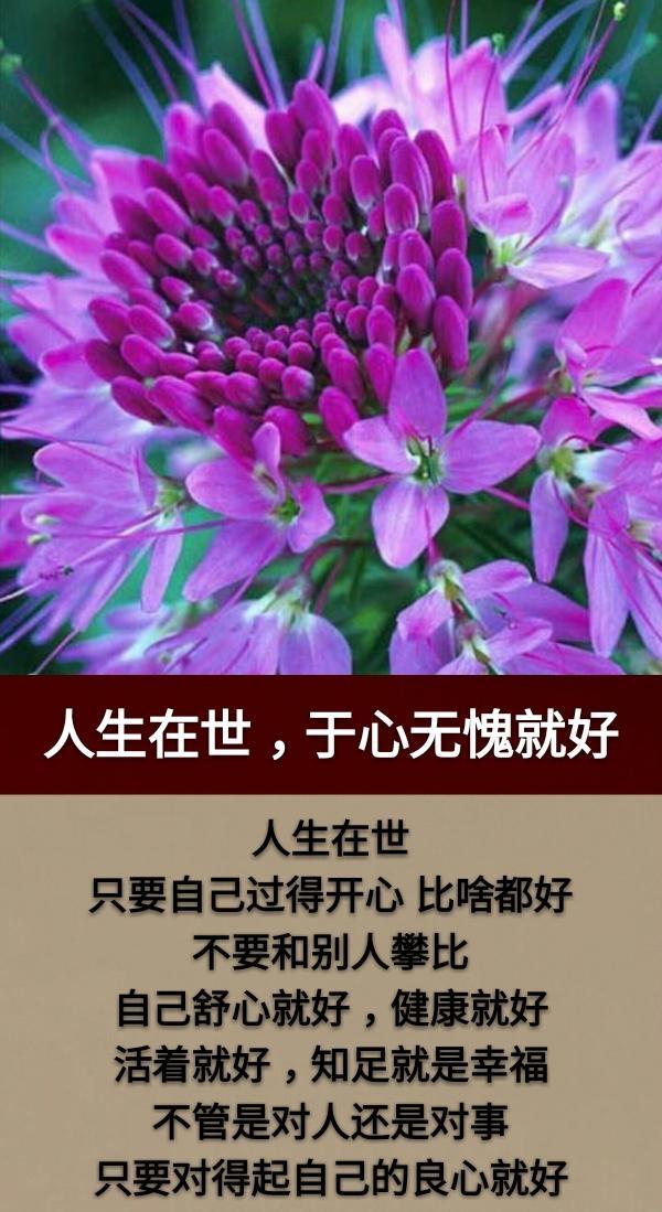 生活,大不了一起一落;人生大不了一生一死!