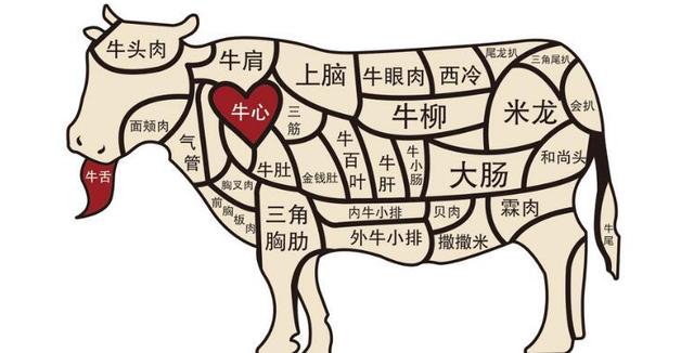 最全面的牛肉20个部位完整图解并教做法,真正的让您开眼界长知识