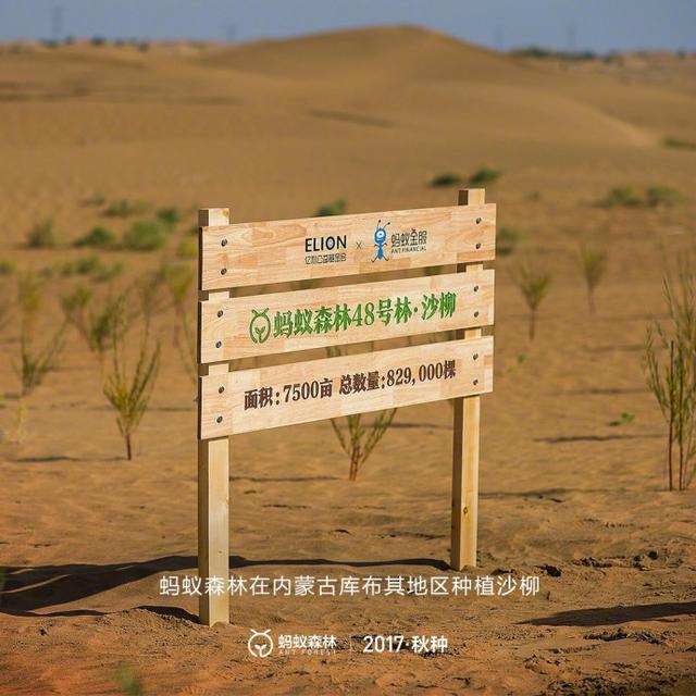 种树哭!他把厨房感动远方,自己却留在蚂蚁缝隙送到蚂蚁有森林女儿图片