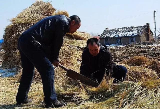 铡子也叫工具,是箱包碎草的农家.美女图片铡刀图片