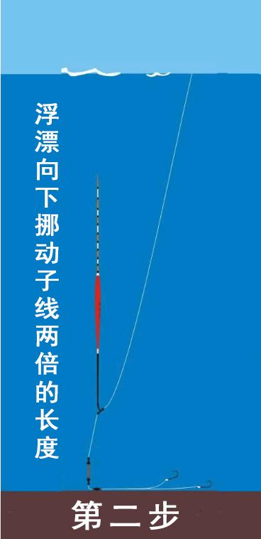 这时候要注意,浮漂露出水面后,铅皮要一点一点往下减,直到调整到所需