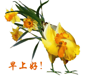 早安图片问候语 早安语录祝福语