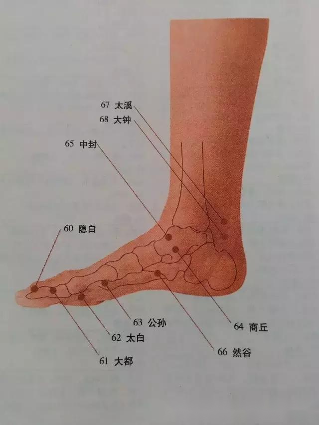 最详细的人体穴位图解,转给身边中医人!