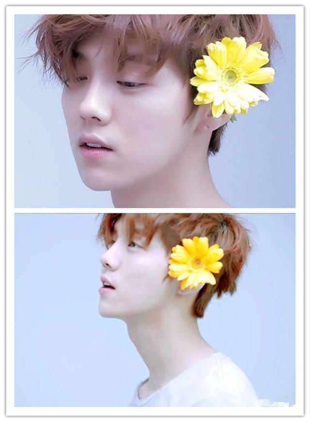 鹿晗带花:据悉这是鹿晗拍摄mv时候的造型,有木有很文艺很少年?
