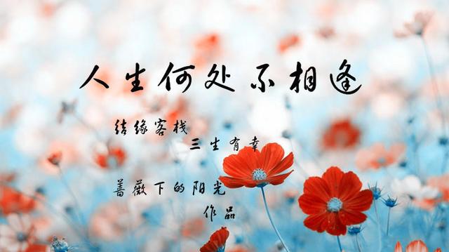 小说唯美句子_温暖句子-唯美语录 唯美句子网_小说简介唯美句子